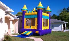 Purple Castle Purple Castle